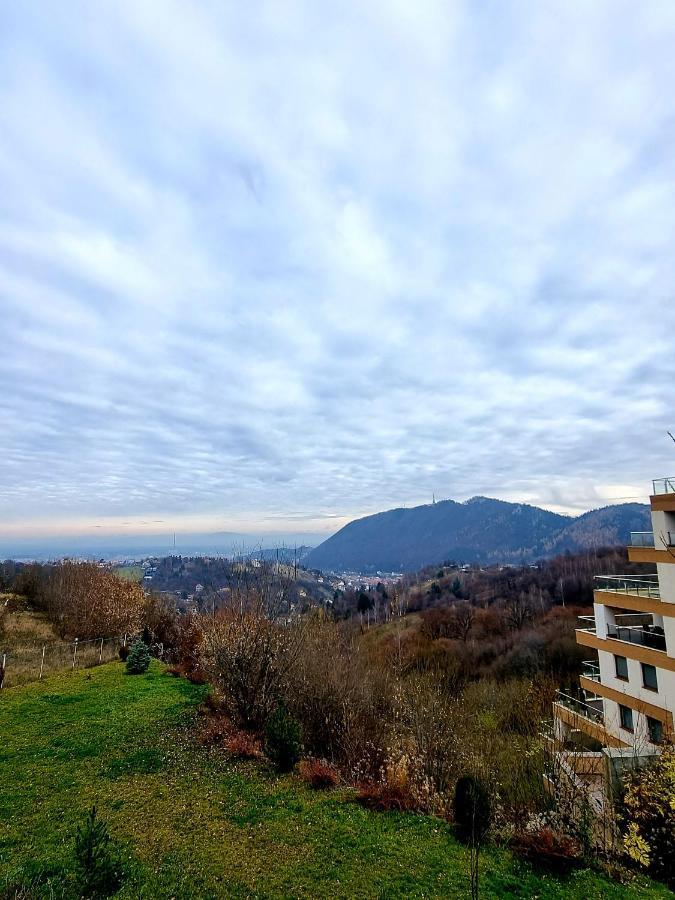 Belvedere Apartament